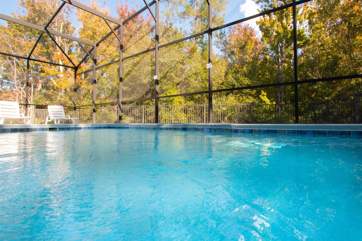 Relaxing views of secluded nature from your Private Screened Pool.