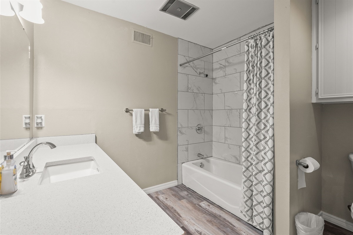 Basement Chill Zone Bathroom
