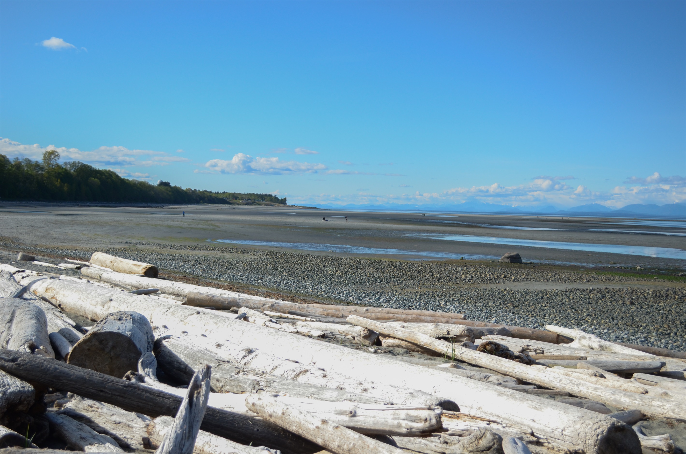 Beach at low tide