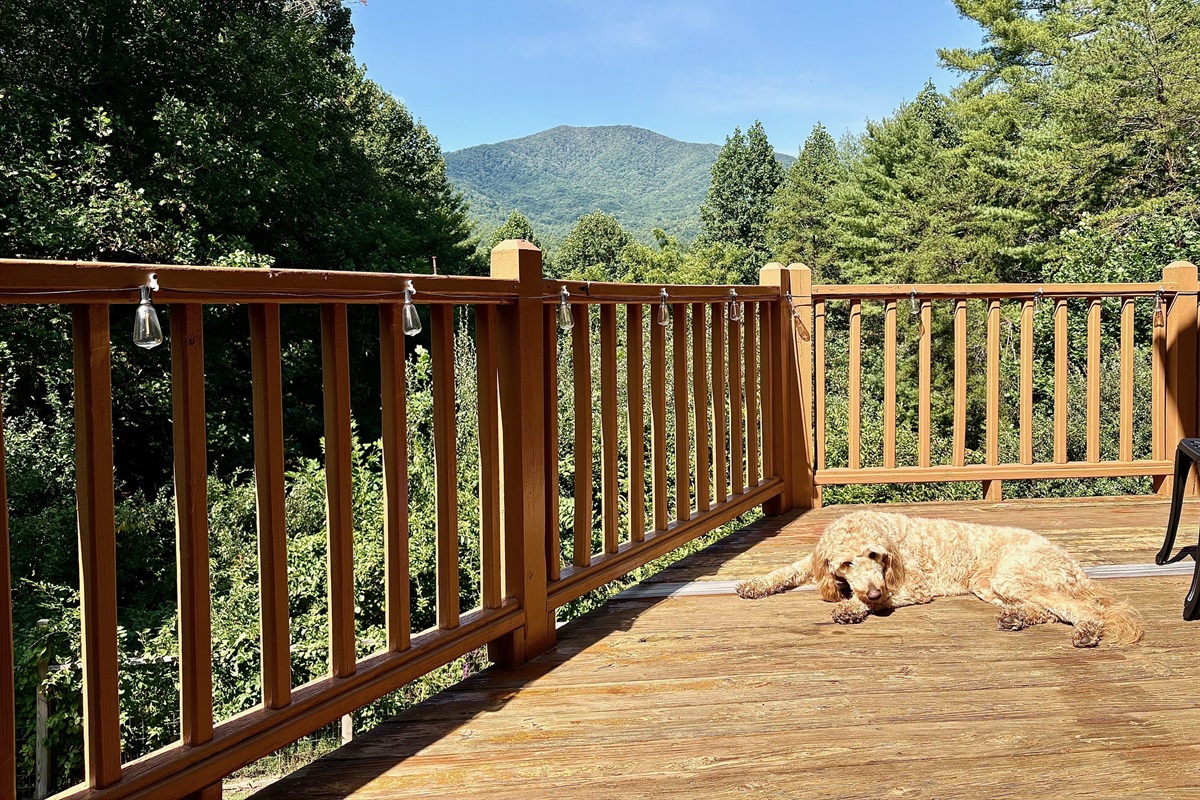 Maple living the Golden Bluff Dream!