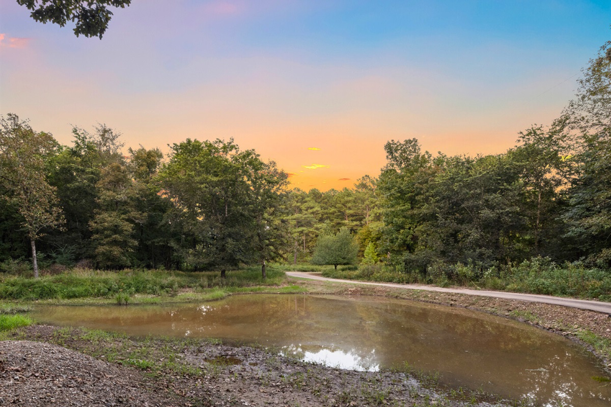 Sunset over the pond—relax and let the worries drift away.