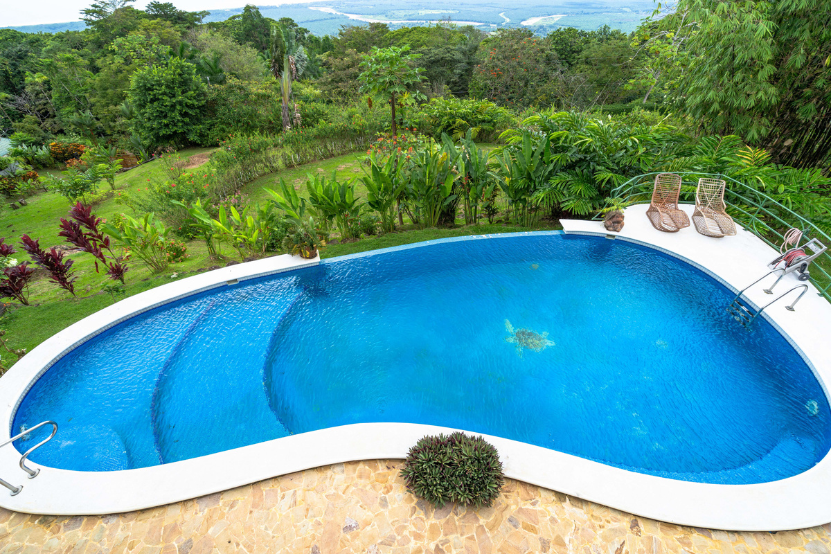 Aerial view of the infinity-edge pool surrounded by tropical landscaping and ocean views