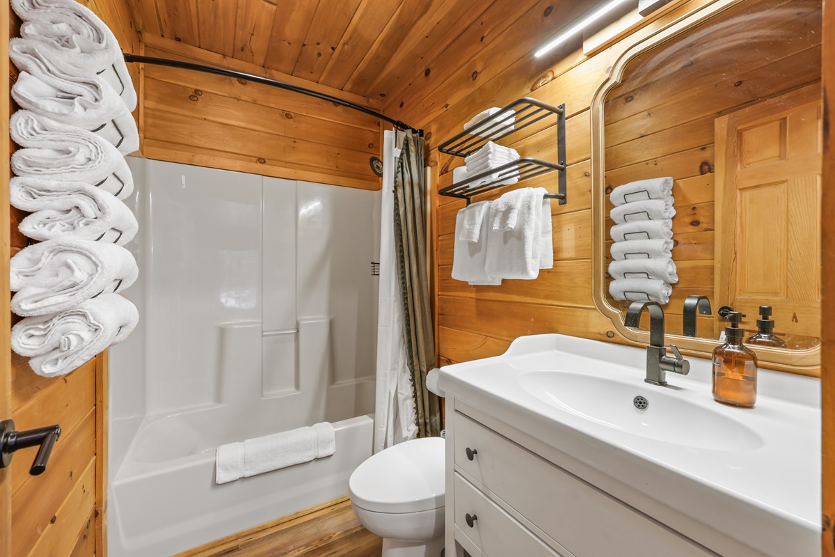 This is the common bathroom upstairs