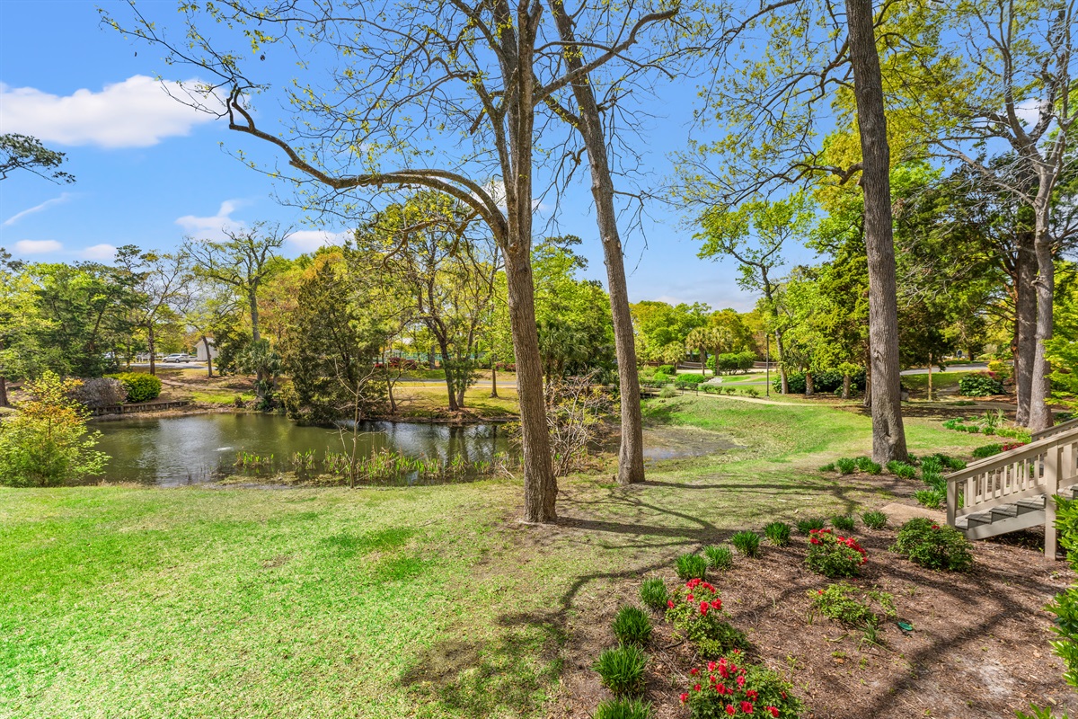 Lush Resort grounds and pathways