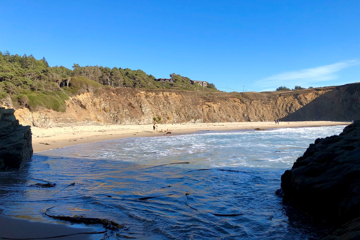 Cook's Beach on a sunny day. The entrance to Cook's Beach is 1600 feet from the loft.