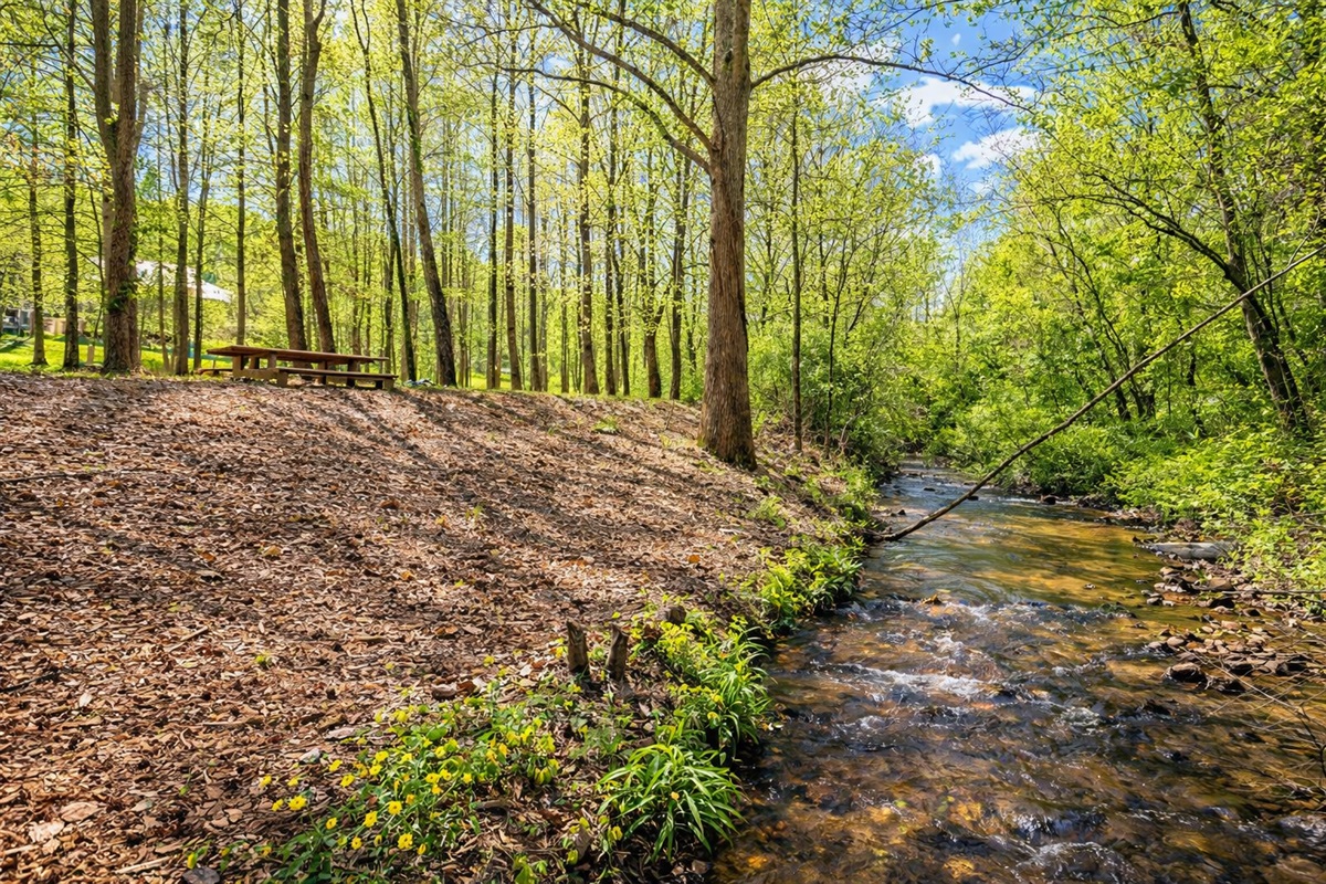 Peaceful creekside escape 🌿💧—your own private spot to relax, unwind, and reconnect with nature.