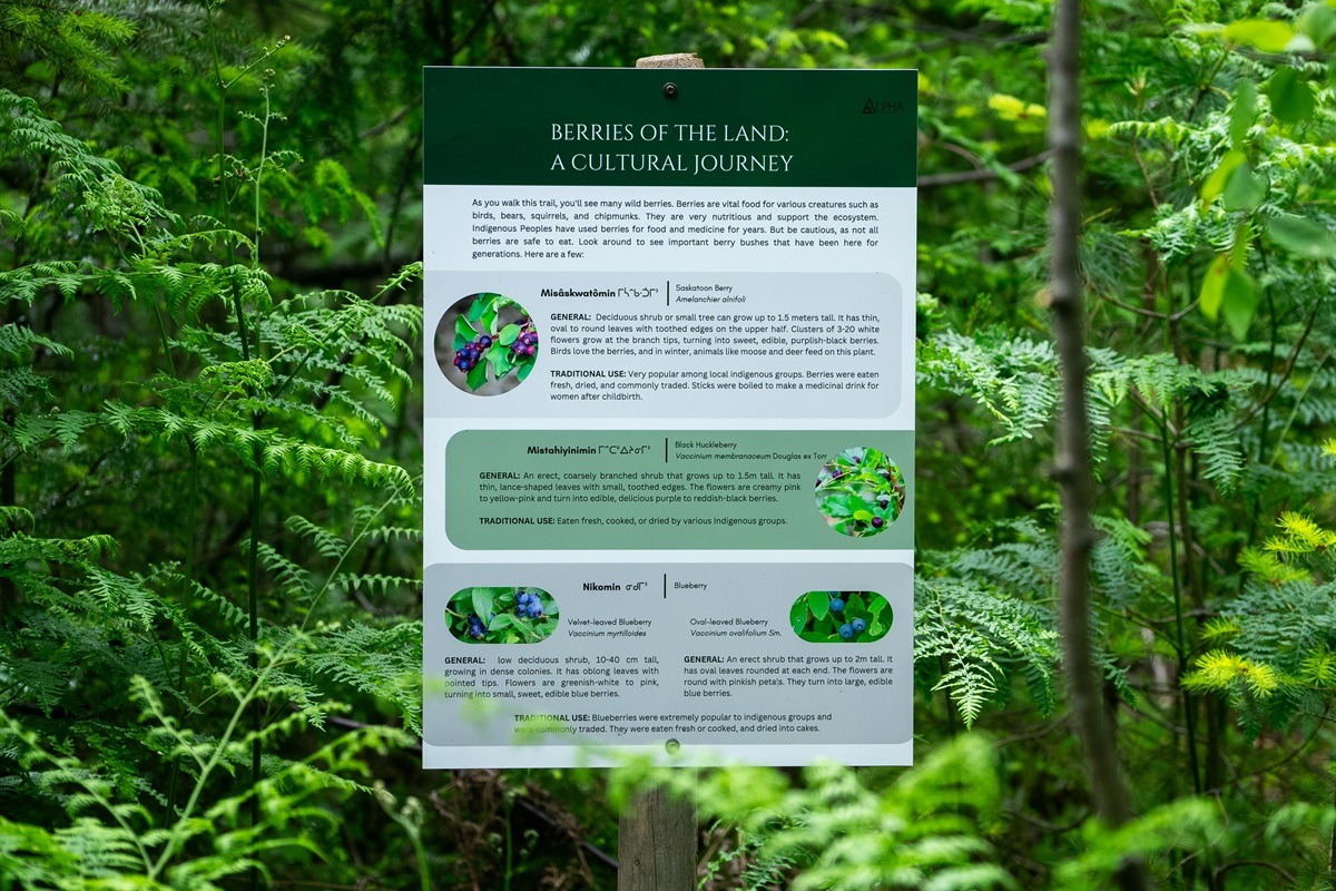 Learn about the local flora and fauna and it's indigenous cultural and medicinal uses on our 1km seasonal interpretive trail.
