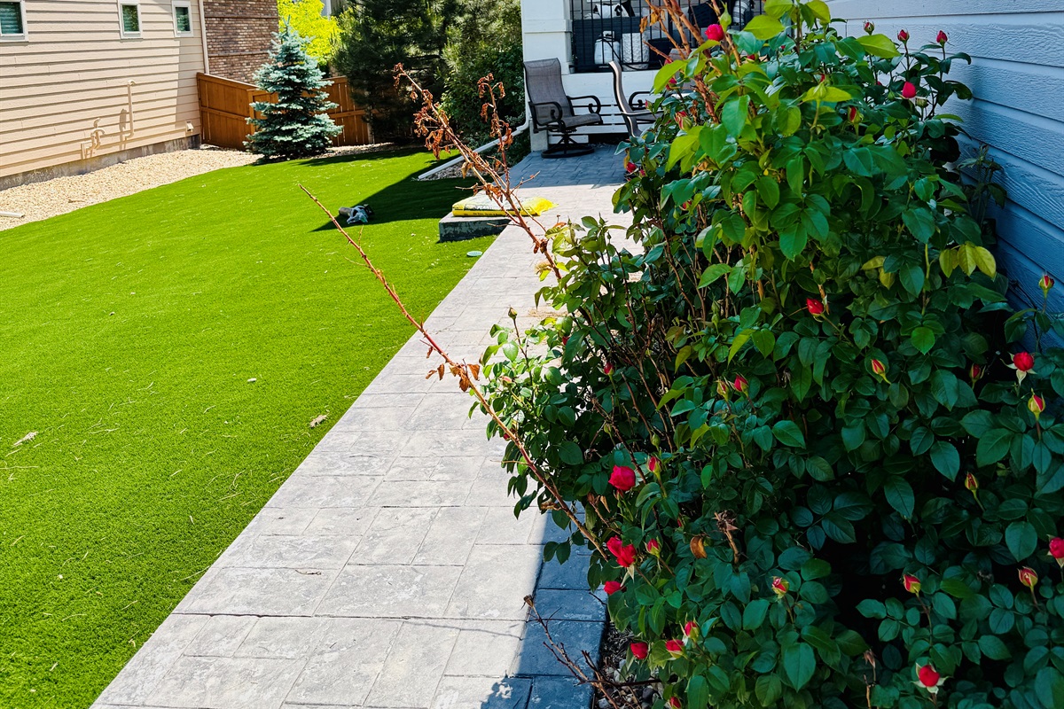 Large outdoor area with faux grass. All year round enjoyment. 
