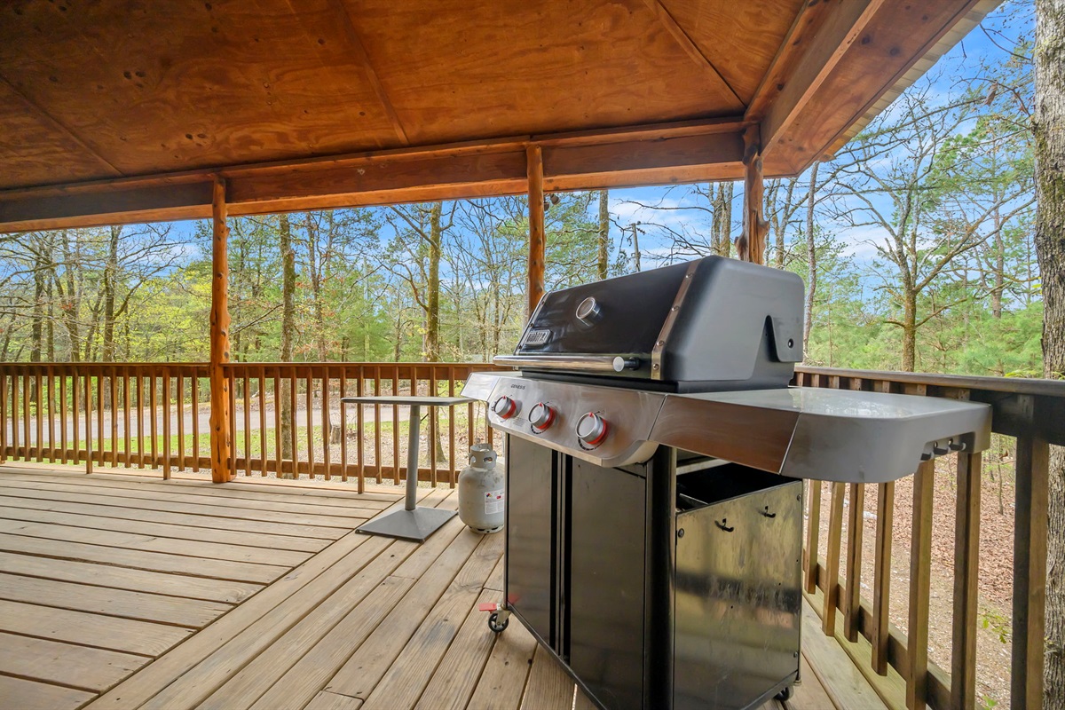 Weber Propane Grill