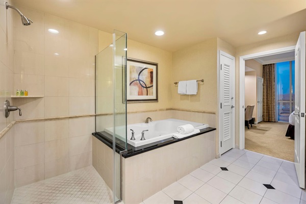 Oversized Jacuzzi Tub and Shower