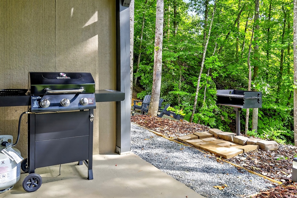 Gas and Charcoal grill