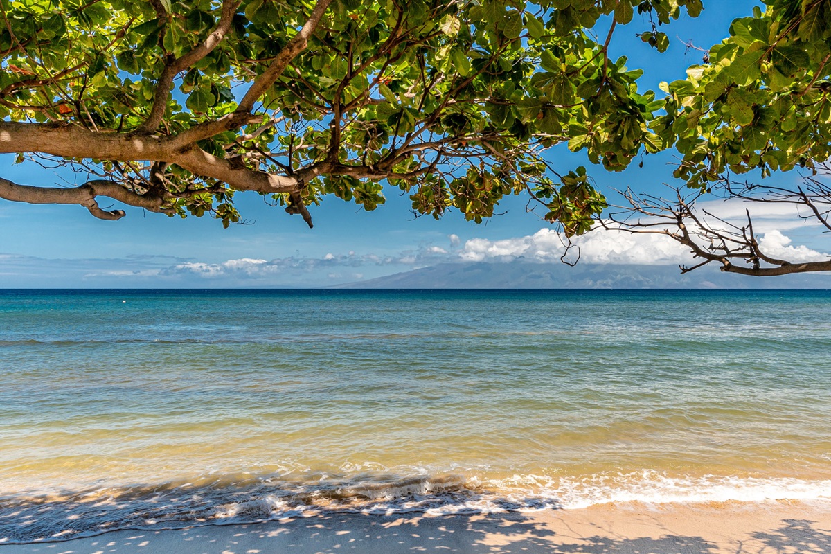 Sandy beach right in front of your resort