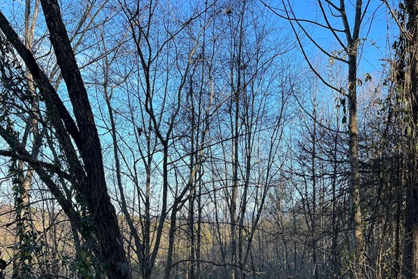 Seasonal mountain view in winter from the back porch.