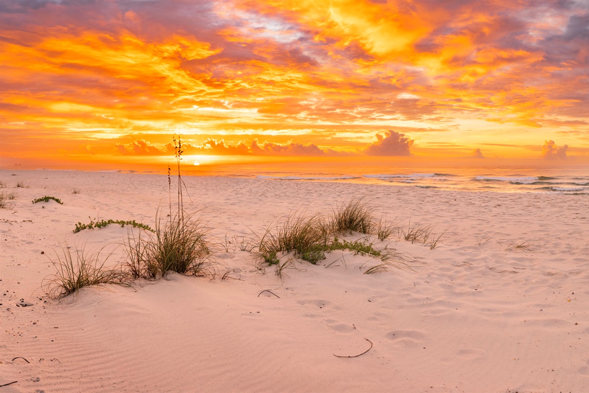  Golden beach sunset with tranquil waves and warm tropical vibes.