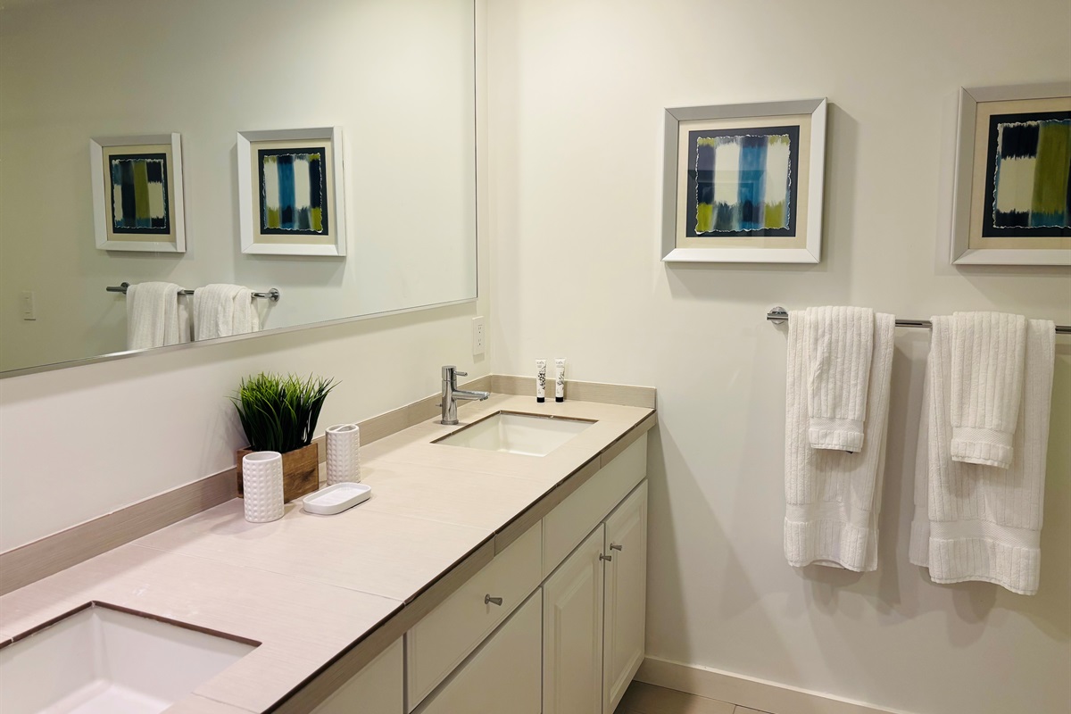 Downstairs queen bath (ensuite)