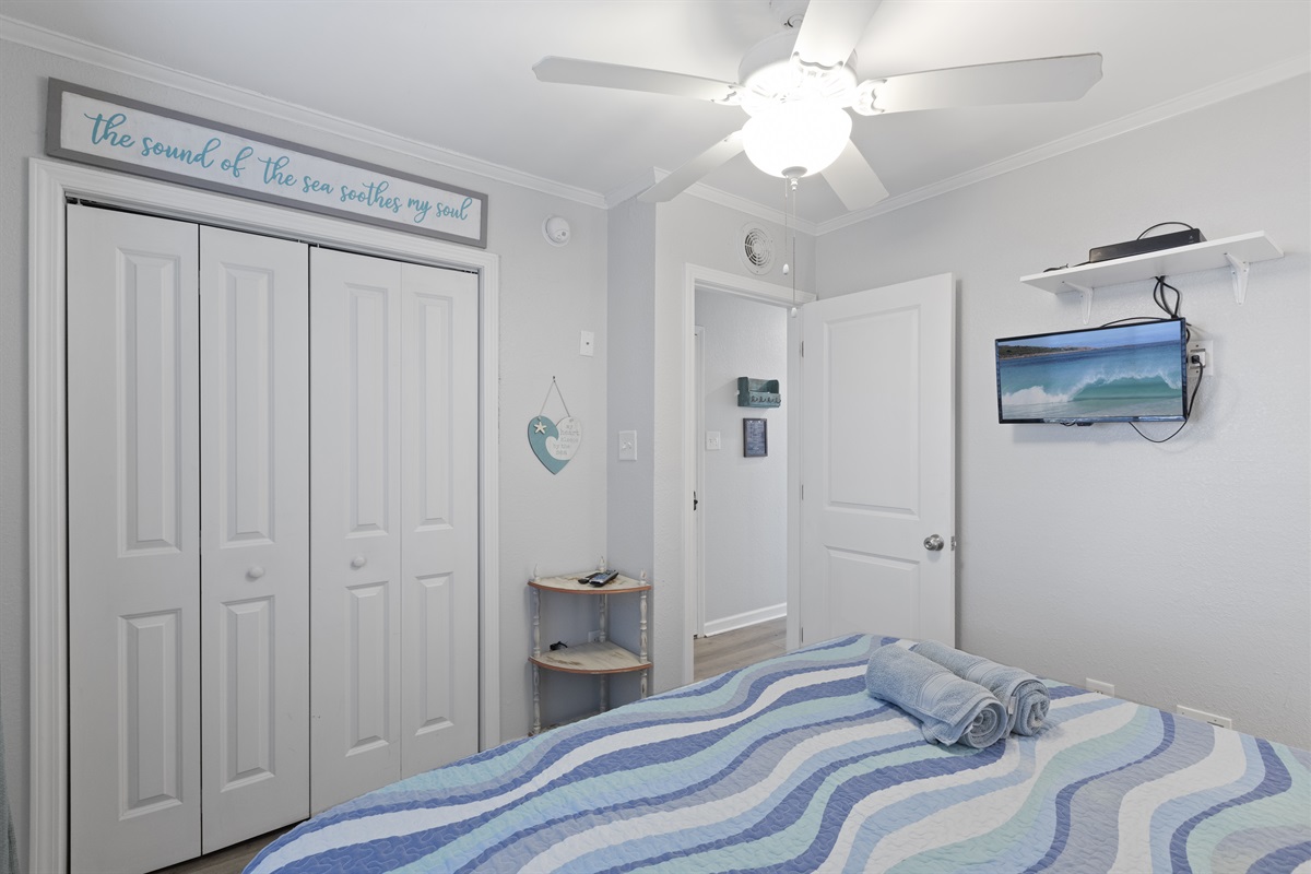 Bedroom with TV and large closet for clothing storage
