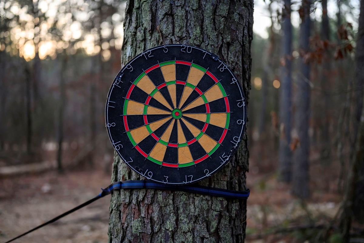 Dart board set up for even more backyard competition.