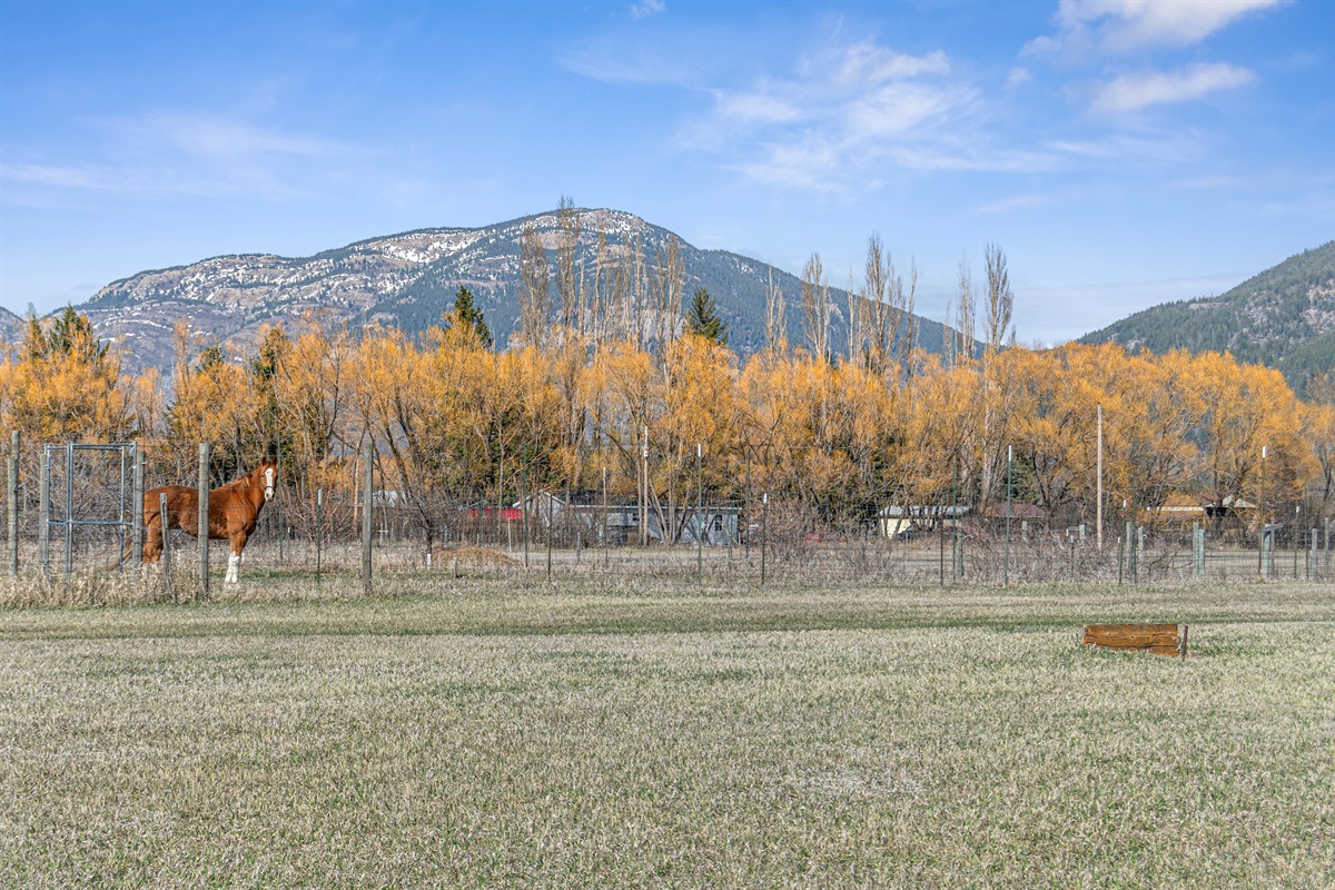 Appreciate the majestic backdrop in the property's back acreage 