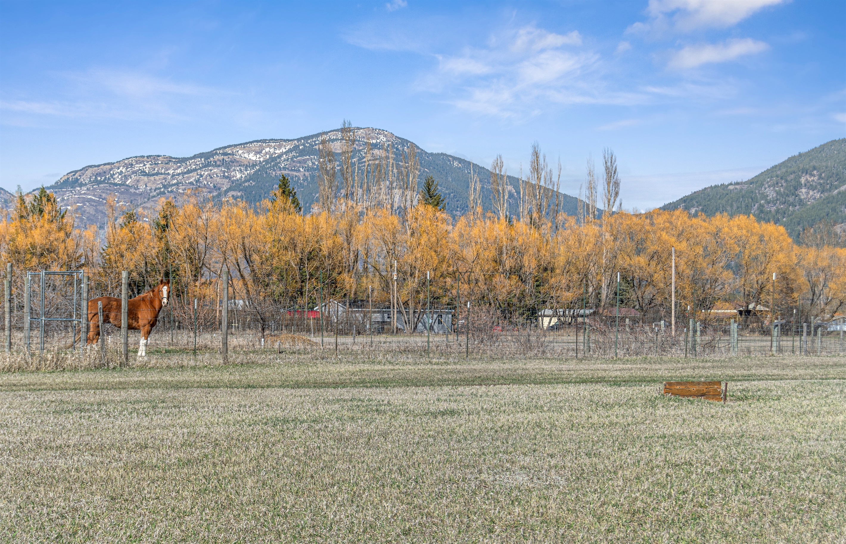 Appreciate the majestic backdrop in the property's back acreage 