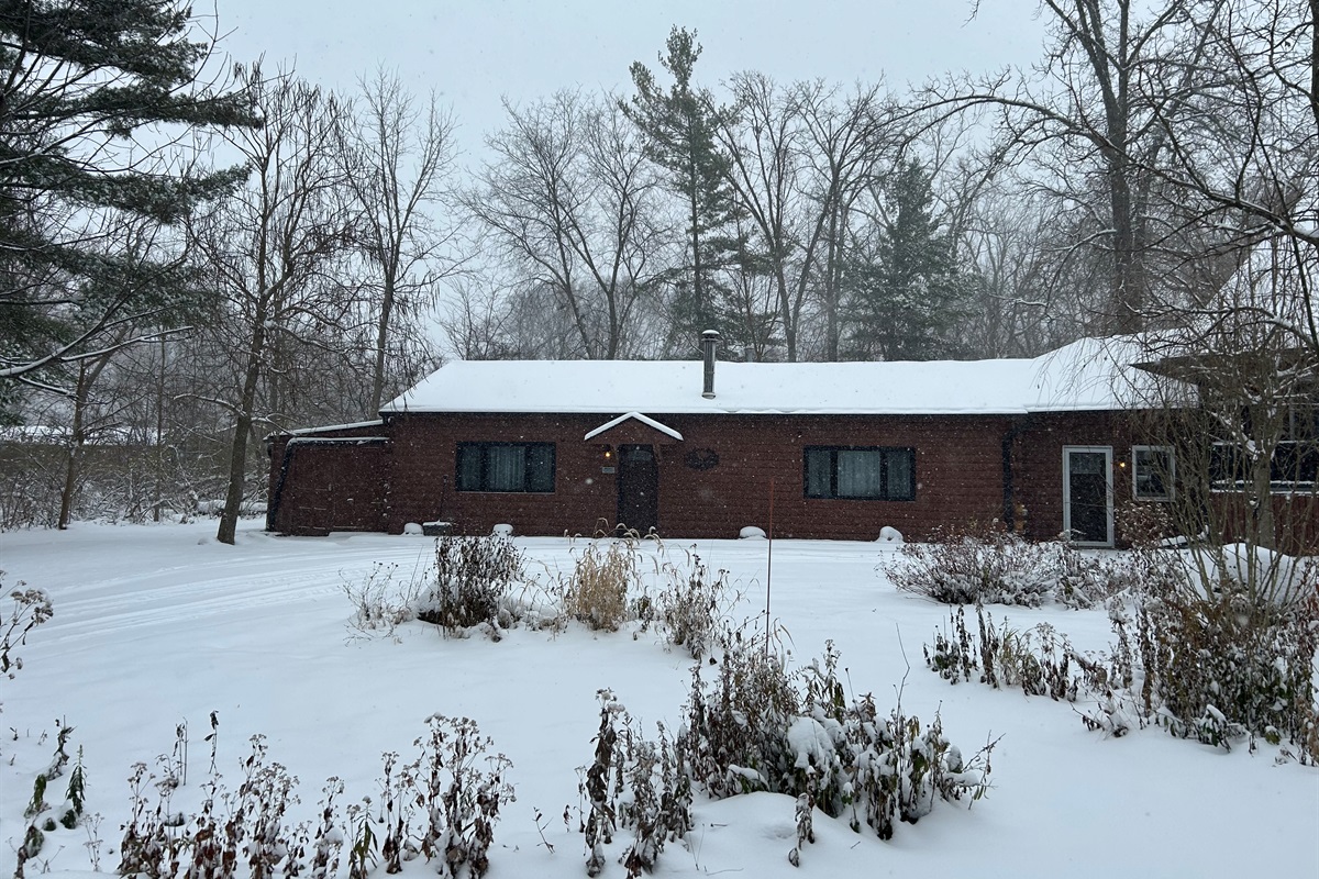 Trees are blanketed with fresh snow.