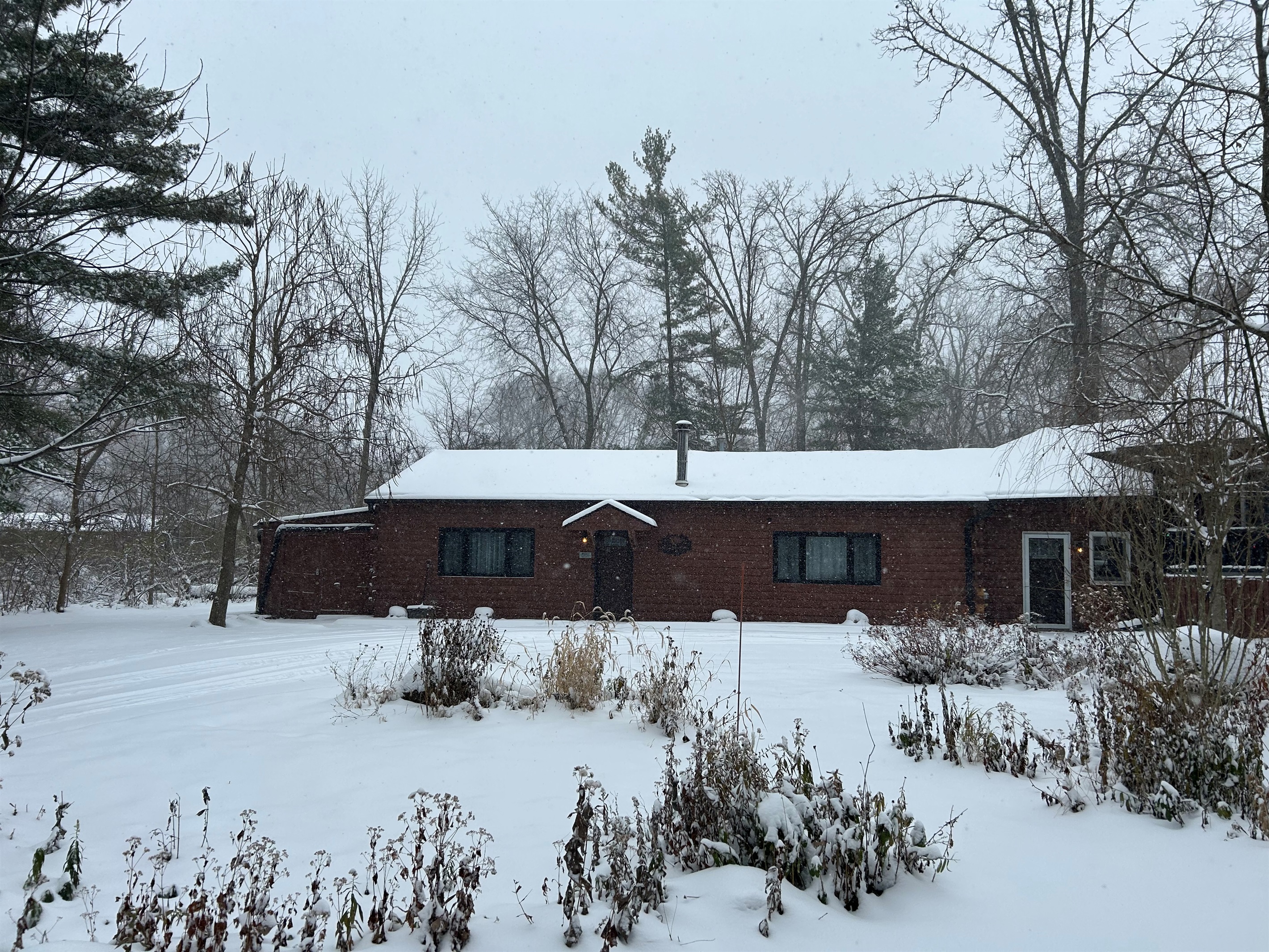 Trees are blanketed with fresh snow.