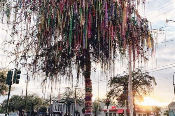 Beaded tree after Mardi Gras floats have passed thru