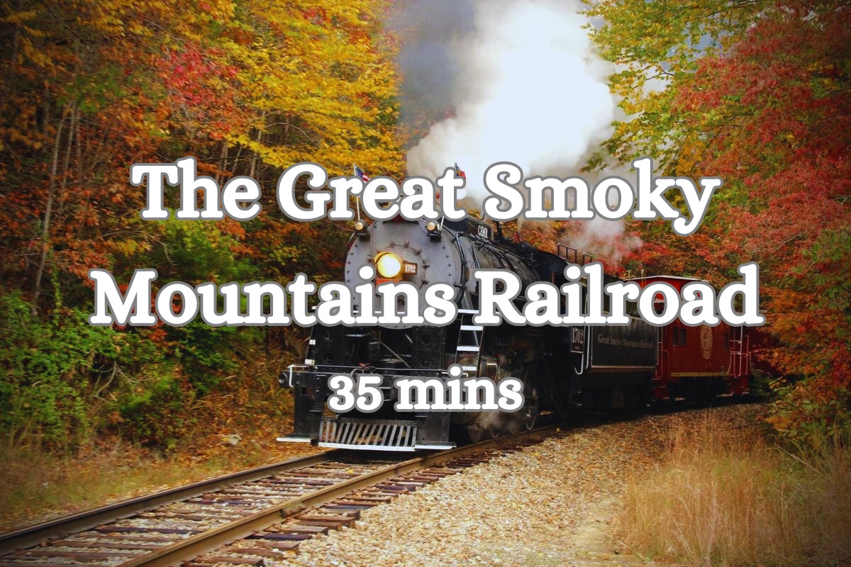 Attraction Highlight: Experience breathtaking fall colors on a scenic train ride just 35 minutes away!