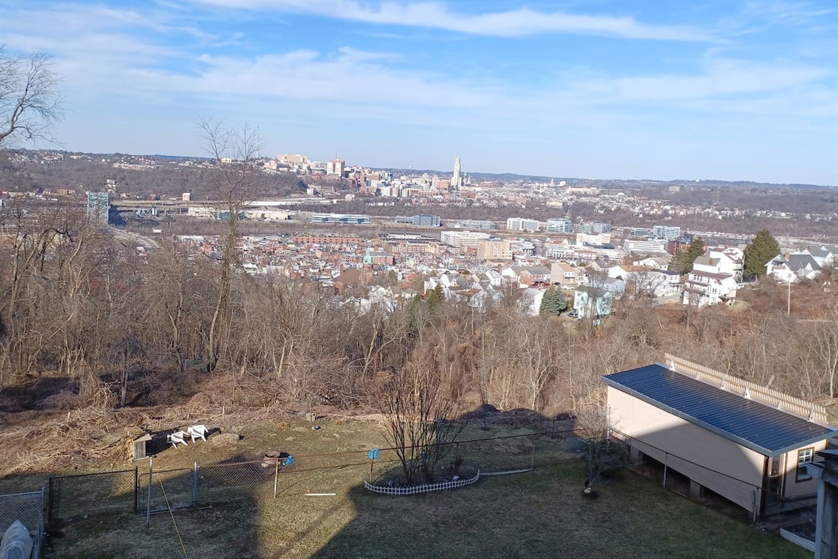 The Cathedral of learning. 