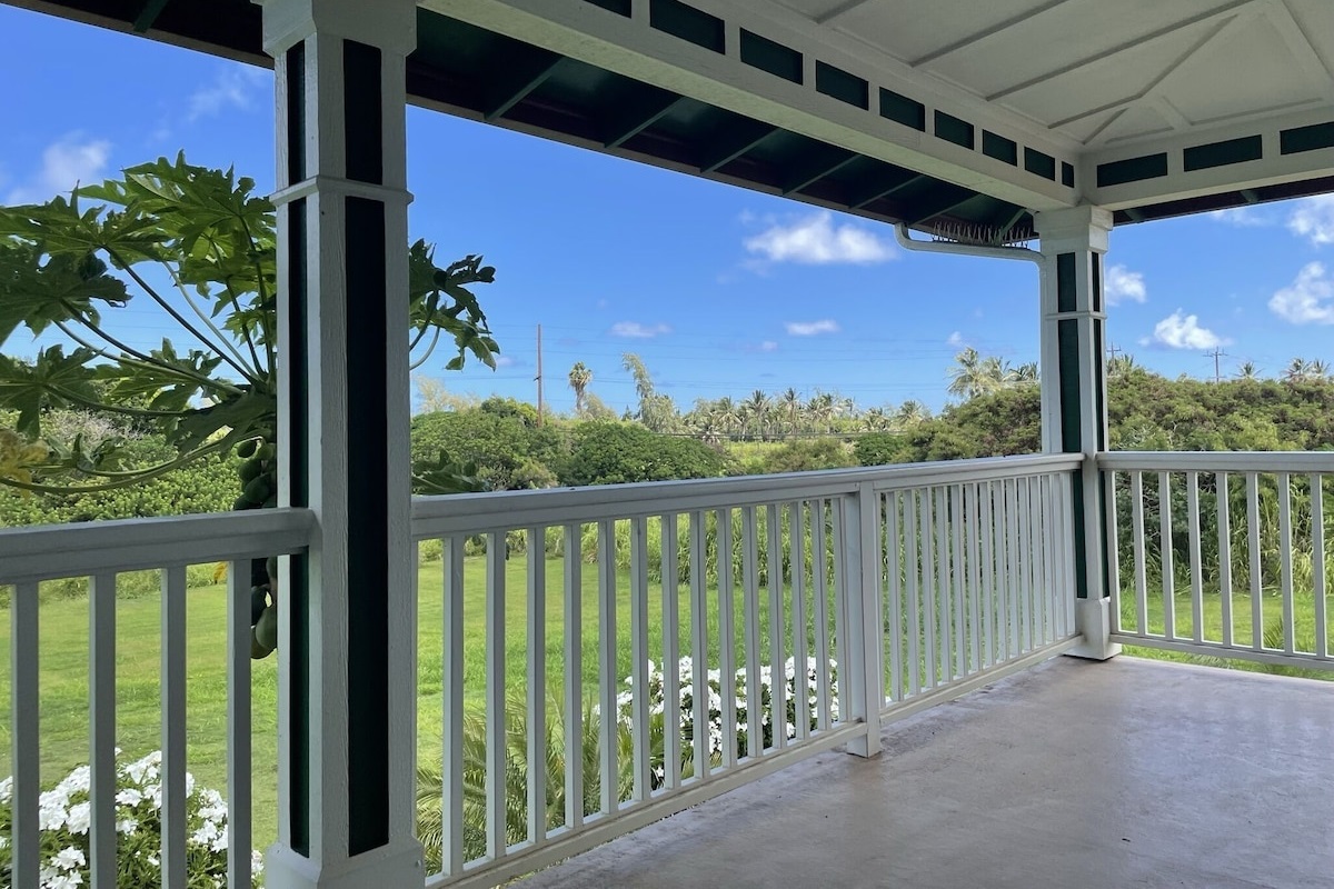 Look at those tropical views