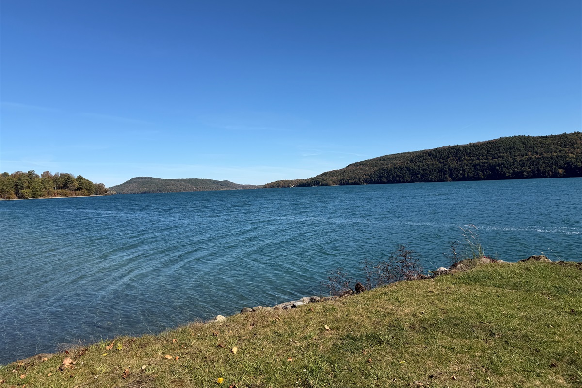 Shared waterfront on Otsego Lake