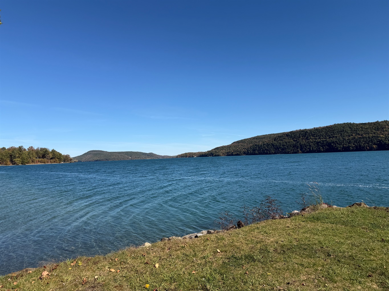 Shared waterfront on Otsego Lake