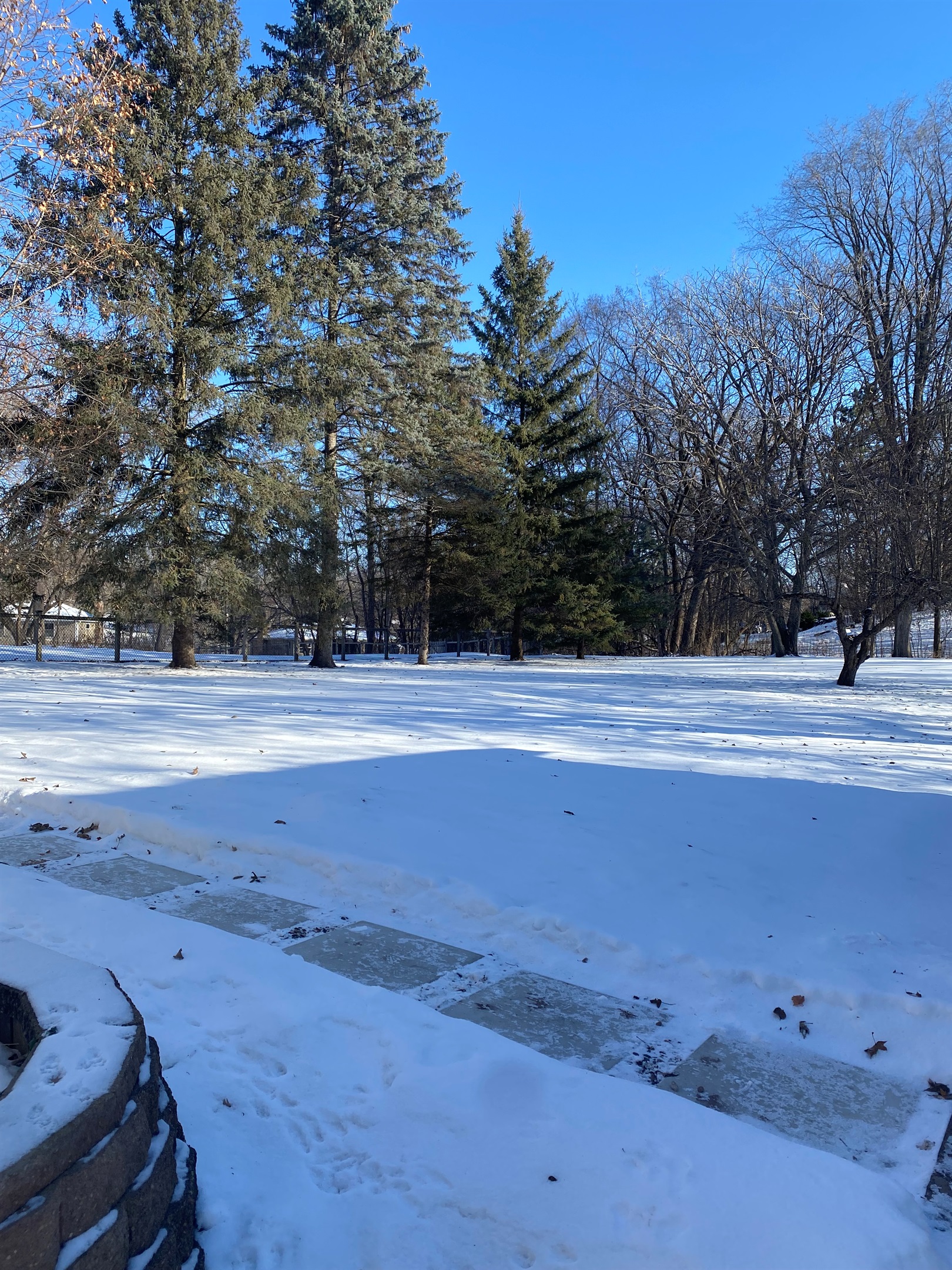 Minnetonka Beautiful Greenery