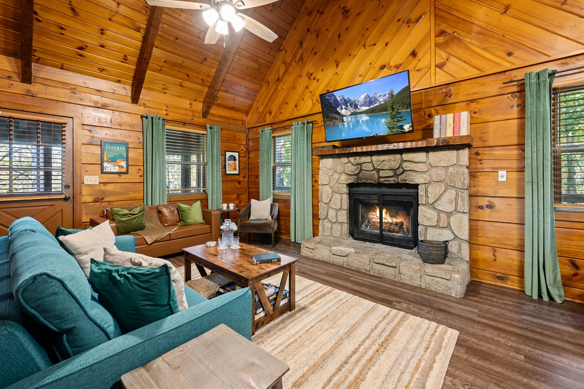 Wood Burning Fire place