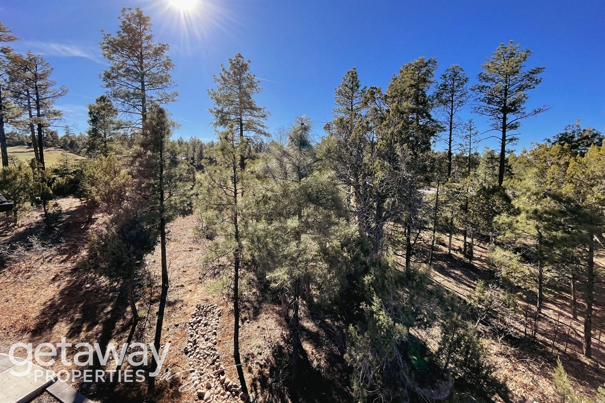 Step outside to enjoy peaceful views of the surrounding pine forest and clear blue skies.