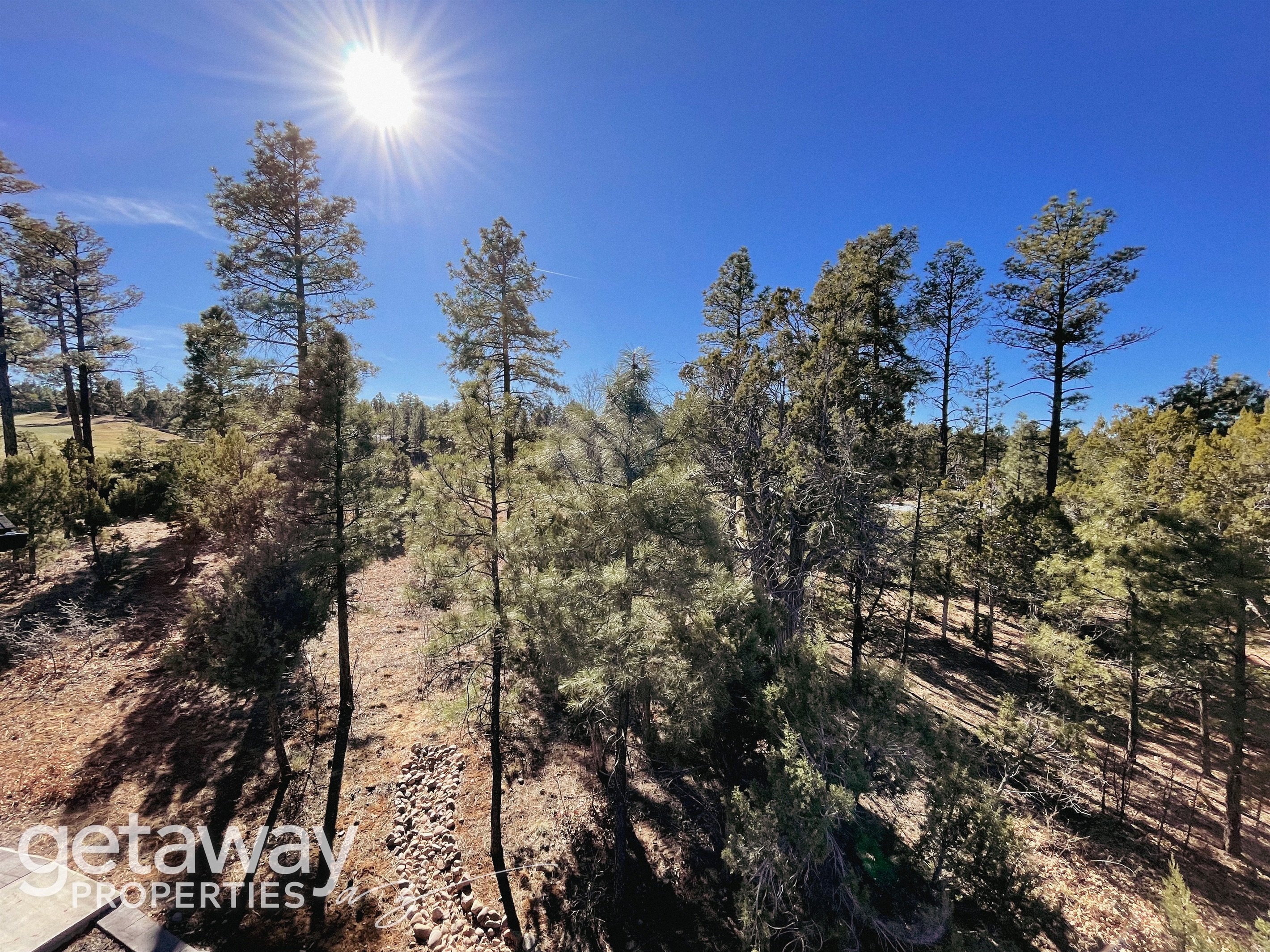 Step outside to enjoy peaceful views of the surrounding pine forest and clear blue skies.