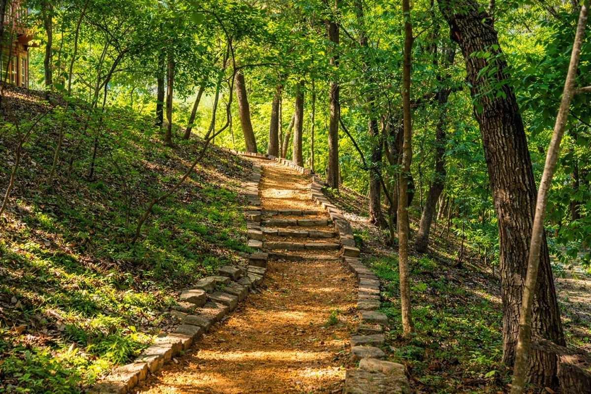 Expansive acreage offering privacy, walking trails, and space to gather.