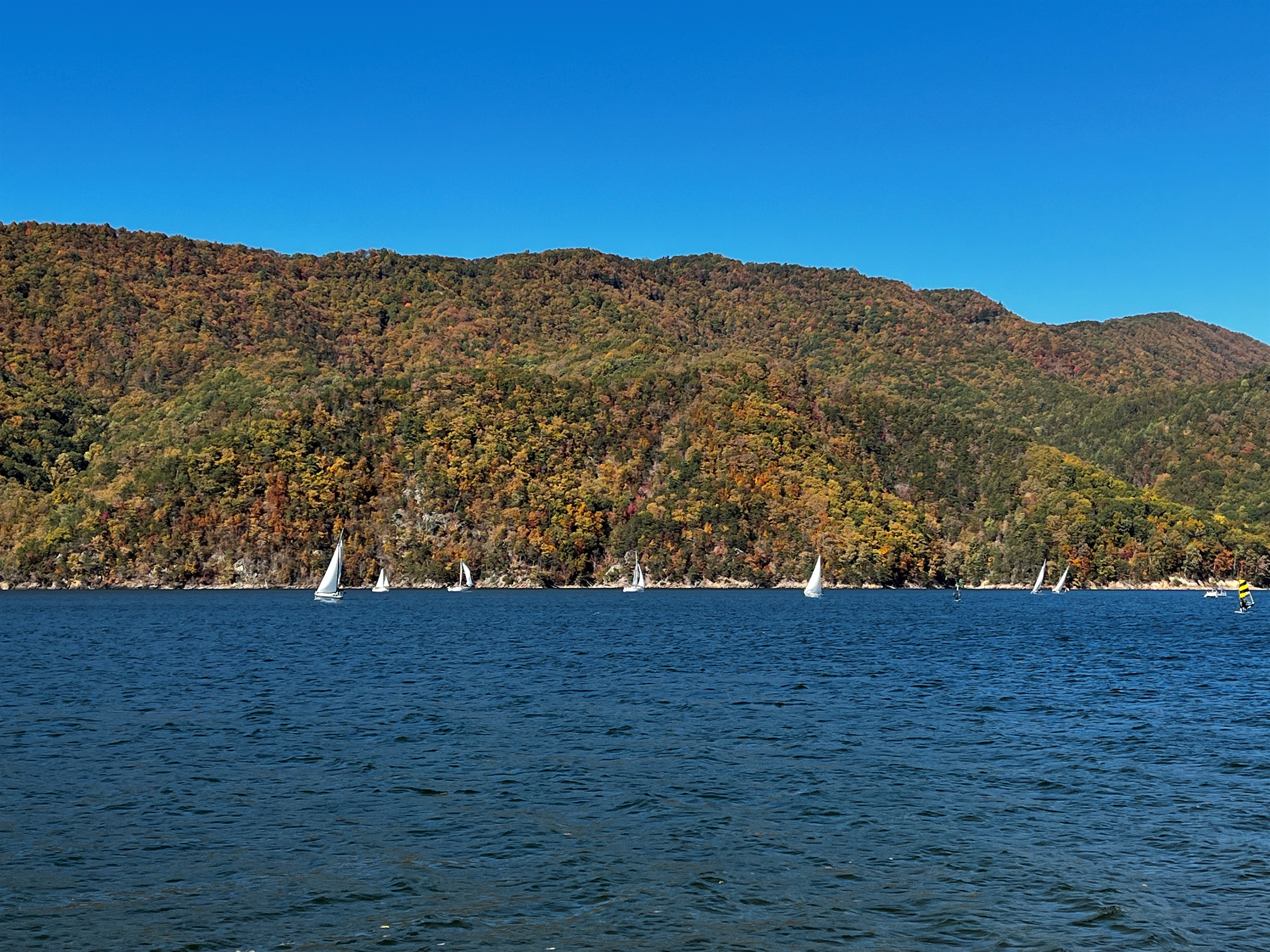 Sailing Watauga Lake