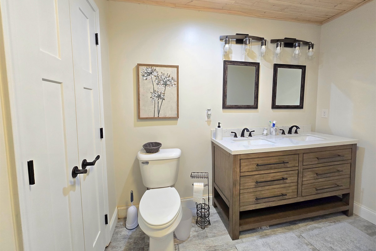 Lower Level Bathroom