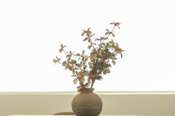 Elegant dining detail with modern chandelier lighting, creating a warm and inviting atmosphere.