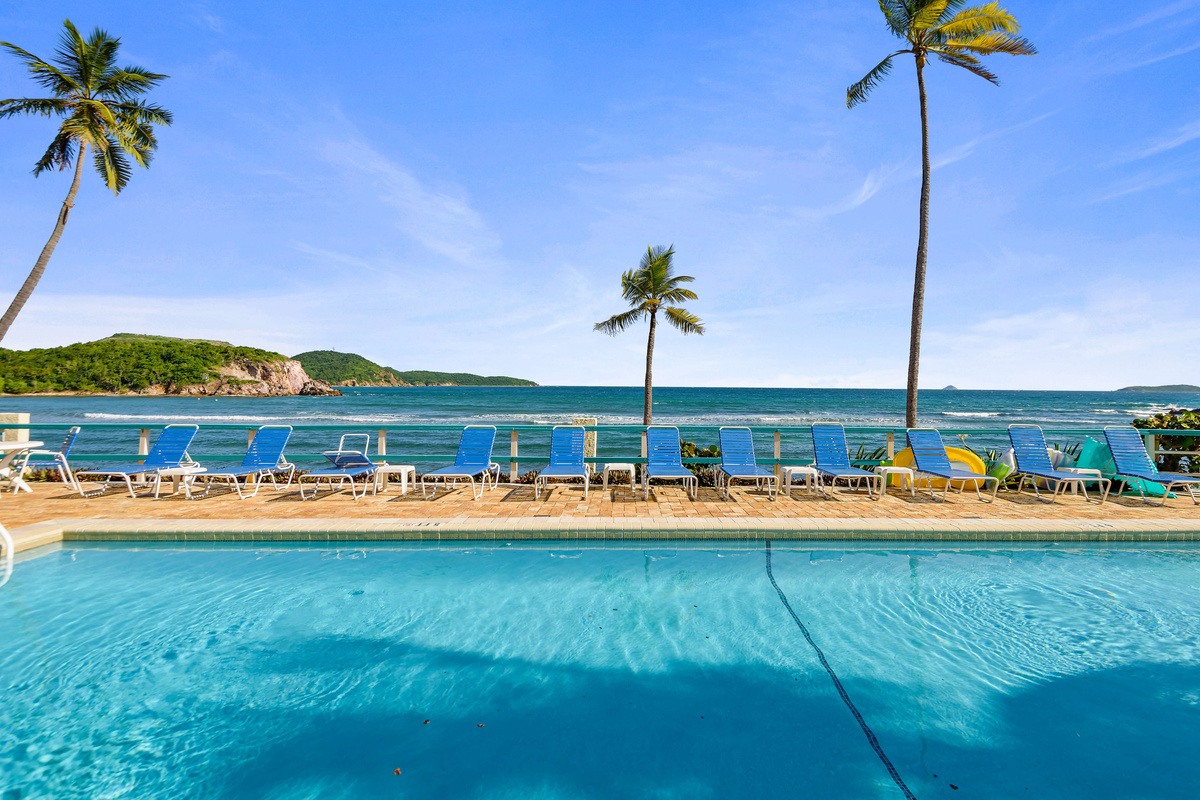 Take a refreshing dip while enjoying the tropical surroundings.