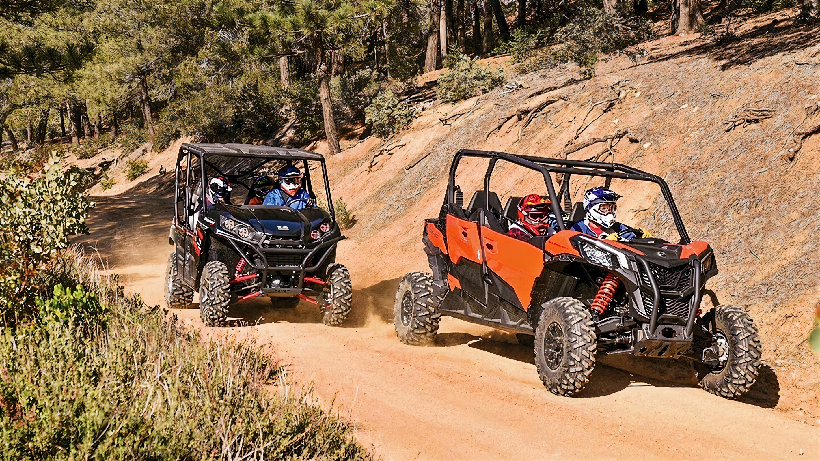 Get ready for adventure with UTV rides and more.