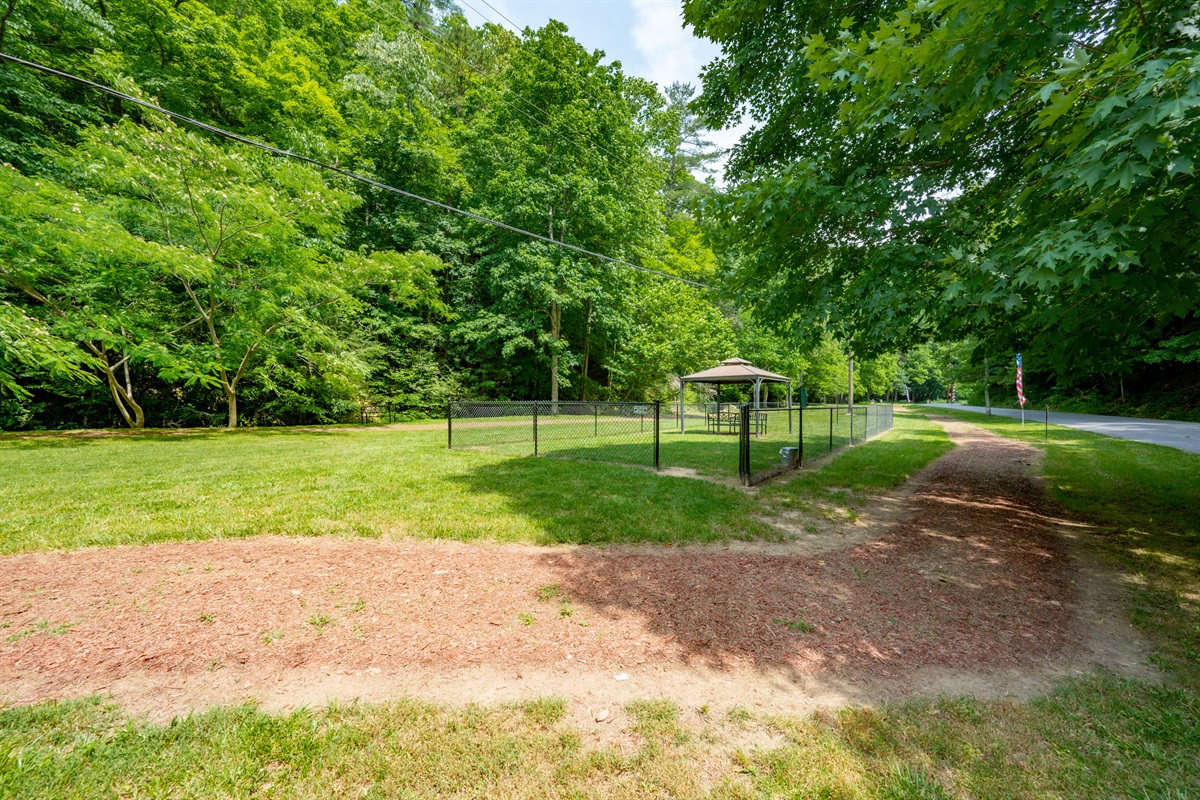A safe and sunny spot for the little ones to burn off energy