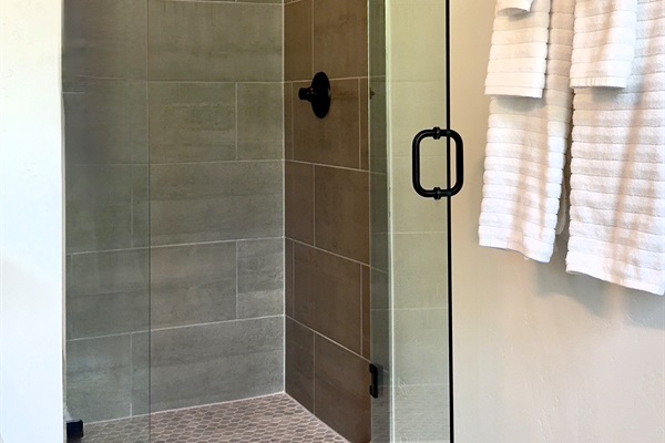 Walk in shower for the master bedroom