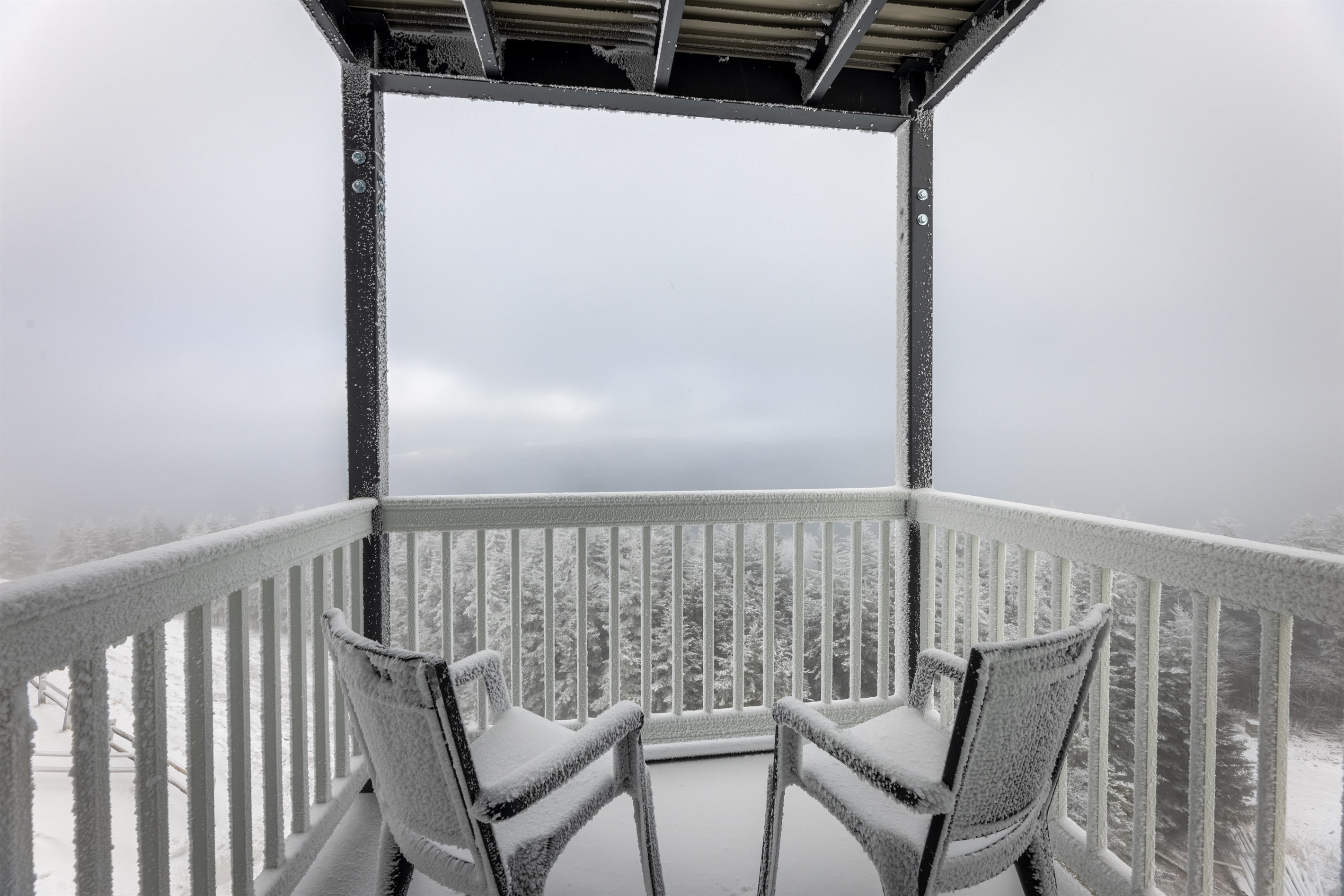 Snowshoe Ski-In/Ski-Out Steps to Ballhooter Lift Mountain Lodge Condo 5