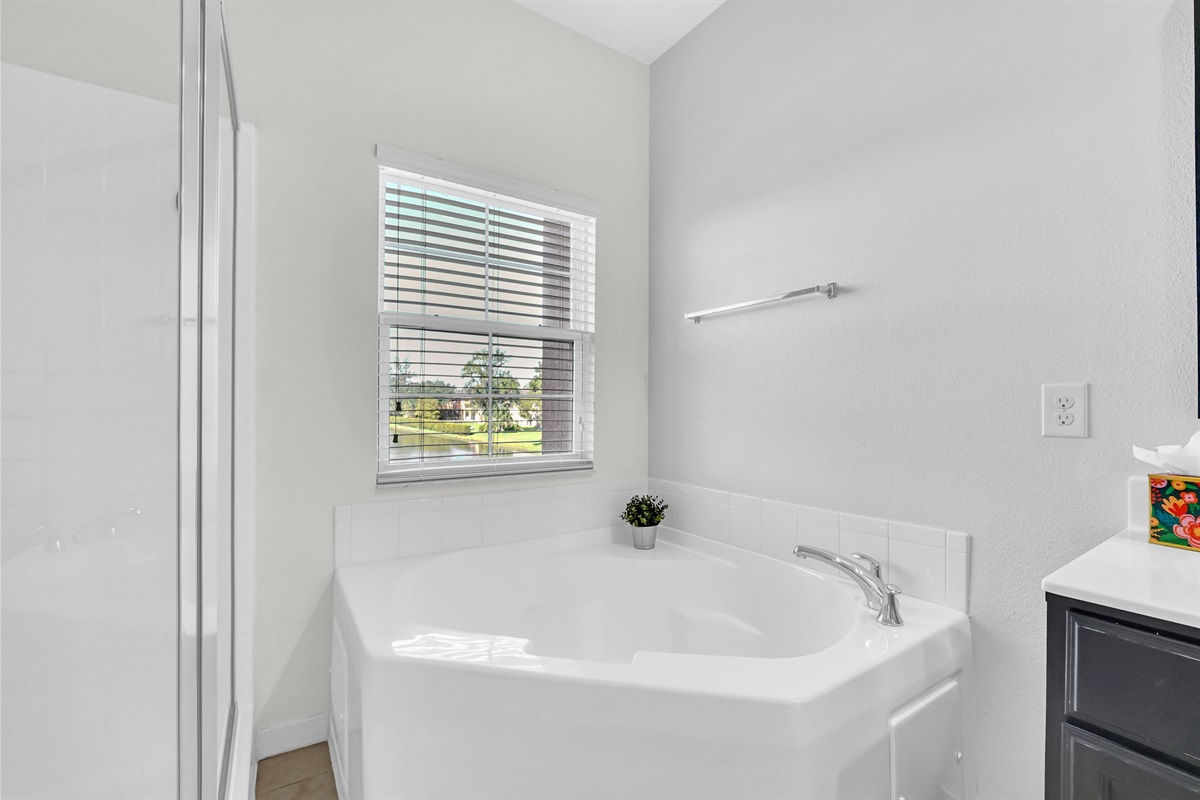 Primary bath tub and shower