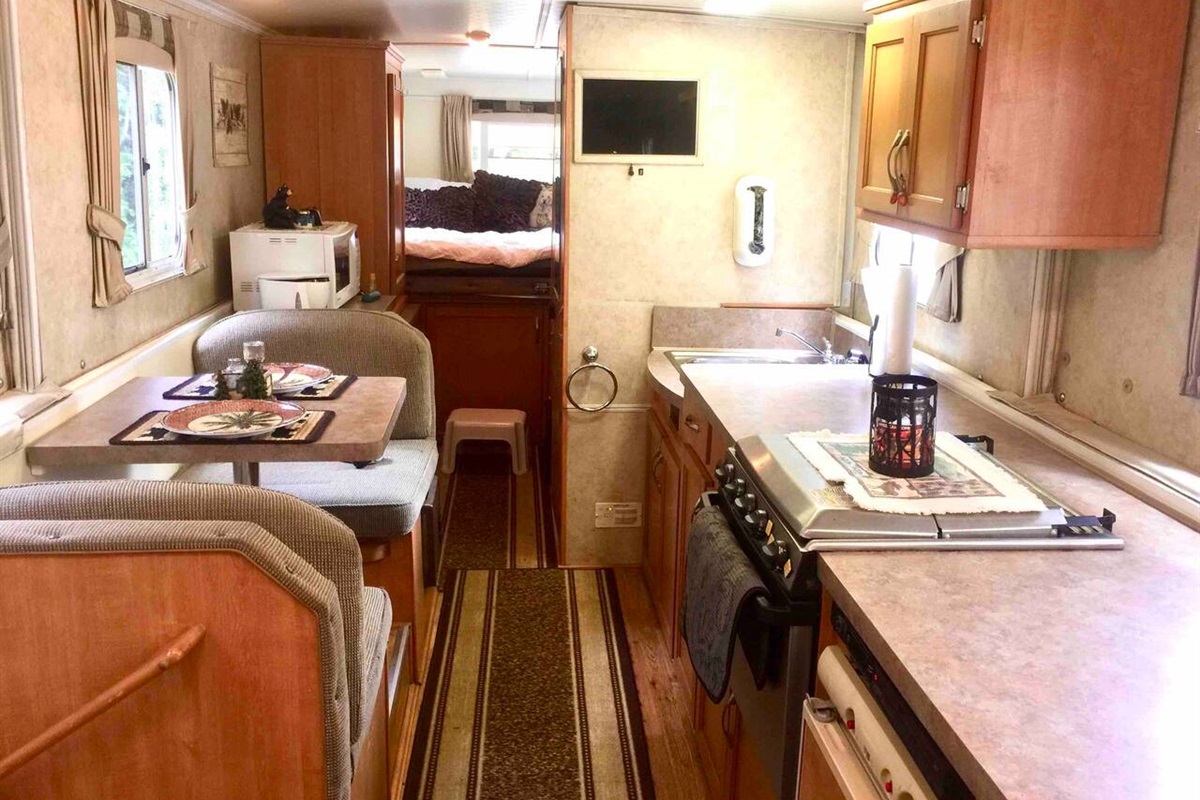 Black Bear Oasis Camper in the Ocala National Forest Coastal Living