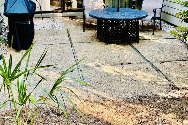 Patio with dining table
