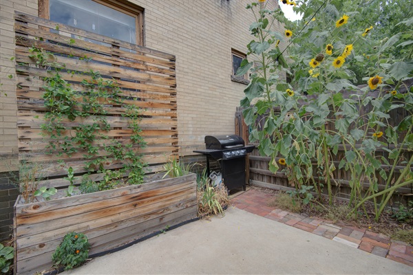 Backyard Gas Grill w/ Sunflower Forest