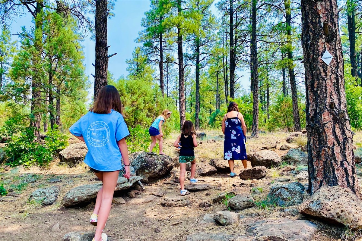 Fun hiking trails for all ages.