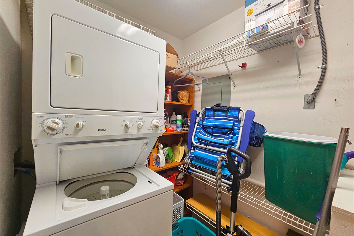 Washer and dryer with starter detergent
